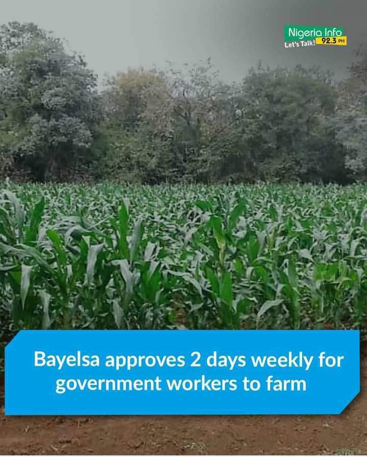 This is a good development, IPOB always set the pace. Our agricultural plans are on course. I heard Ohaneze Ndi Igbo have also started their own Agricultural project. Breaking News ! The Bayelsa State Civil Service Commission has approved a two-day weekly farming period for