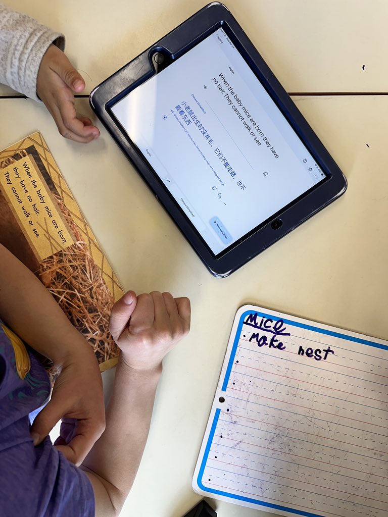 BPSHawks1 tweet media