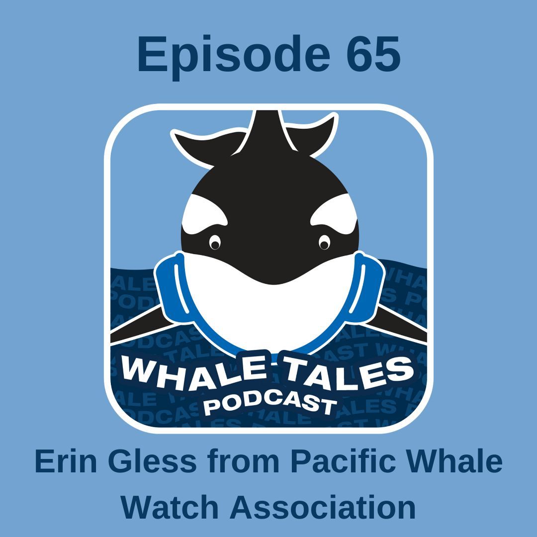 Super exciting episode this month with an incredible guest Erin Gless, executive director of @ThePWWA! We dive deep into the history & mission of the PWWA and the work it does in the Salish Sea plus TWO Fun Flipper Facts!😲 
buff.ly/3W1Hb3c
#WhaleTales #WhaleTalesPodcast
