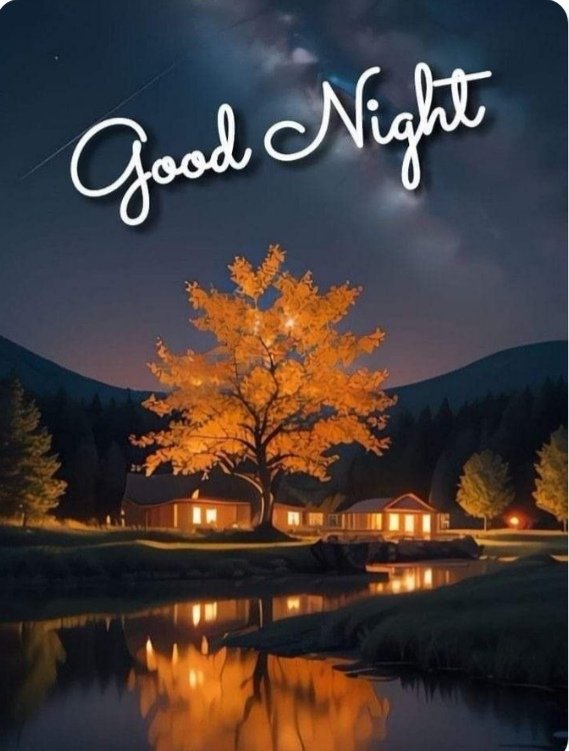 السلام وعلیکم و رحمتہ اللہ وبراکاتہ
Good night😍
May sweet x family 🌹