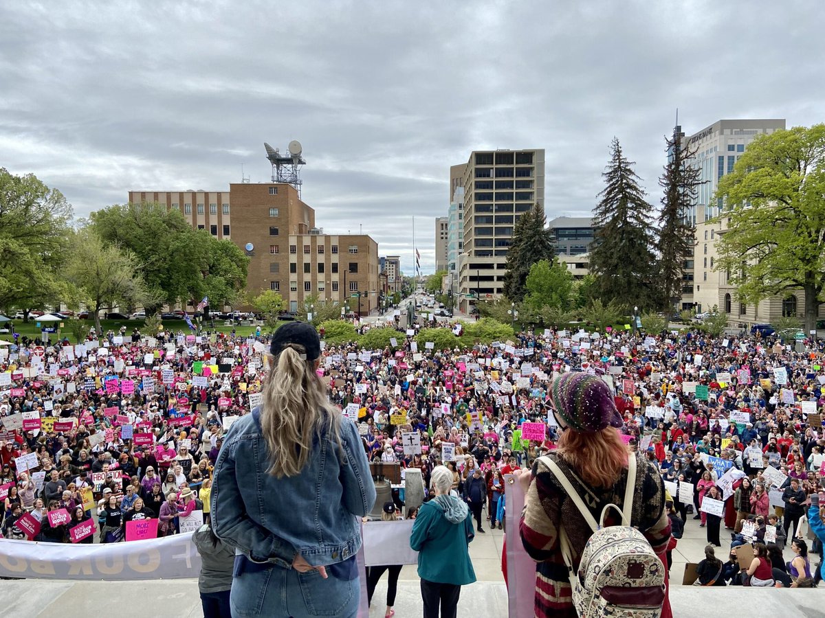 Democracy should not be minority rule. 
But if the majority doesn’t vote up and down the ballot, that will continue. The solution is to
#VoteThemAllOut 

#WomensRights 
#idaho