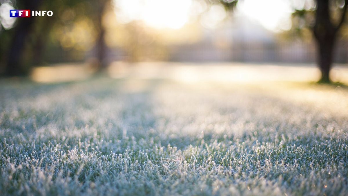 Météo : jusqu'à quand va durer l'épisode de froid ? ➡️ l.tf1info.fr/HCw