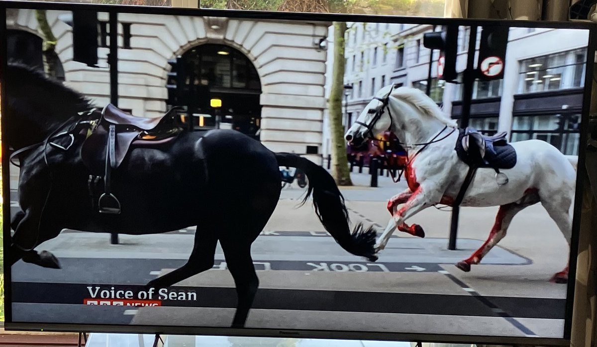 Horrific scenes those poor horses. 💔 #Horses #centrallondon