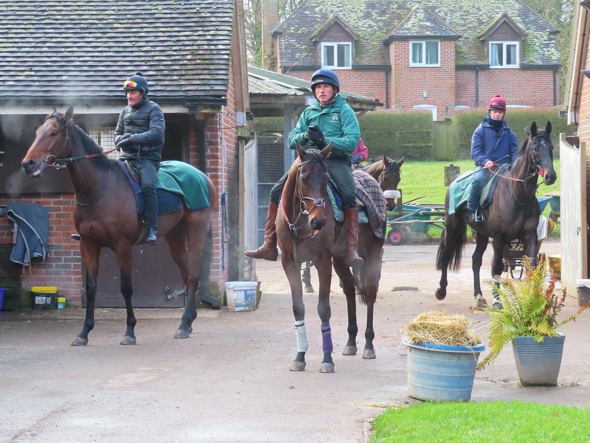 Summerdown1997's tweet photo. AMERICAN GERRY (Americain x Hurricane Society) is set to line up in the 7.35 from @TauntonRacing this evening!

Let’s hope for a big run for connections! 🙌🏼

@gingell_freddie is in the plate! 💪🏼

#SummerdownStables
#AmericanGerry https://t.co/9gQedGmabw