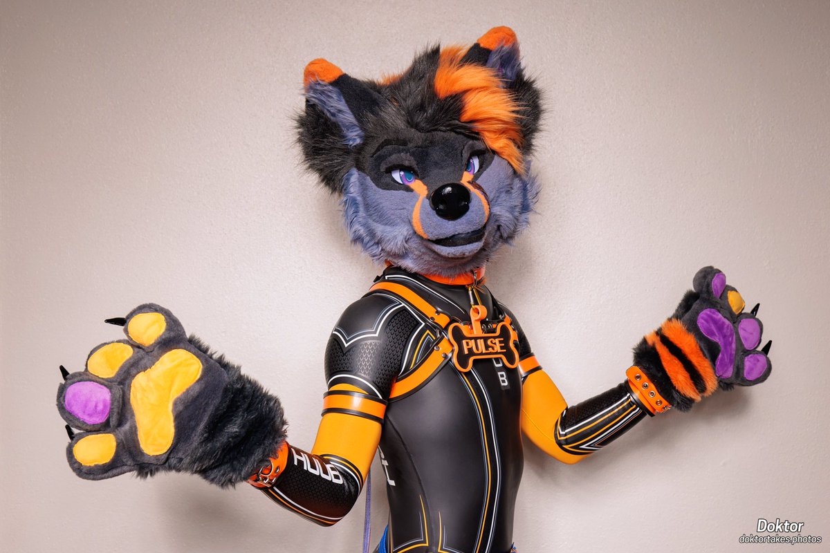 What am I supposed to do, *not* put on a wetsuit?? 📸: @ShinyBlueDog #wetsuitWednesday #rubberfur #rubberpup #fursuiteveryday