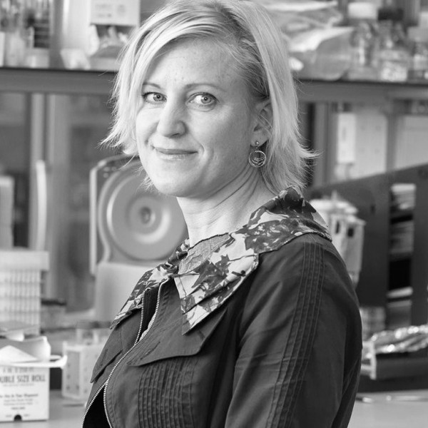Make sure to drop by IBB tomorrow at 11 a.m. for our Bioengineering seminar! 🗣️ Melody Swartz, Ph.D., professor at the University of Chicago, will give a talk entitled 'Lymphatic Vessels: Where Biotransport Meets Immunity'. #IBB #bioengineering