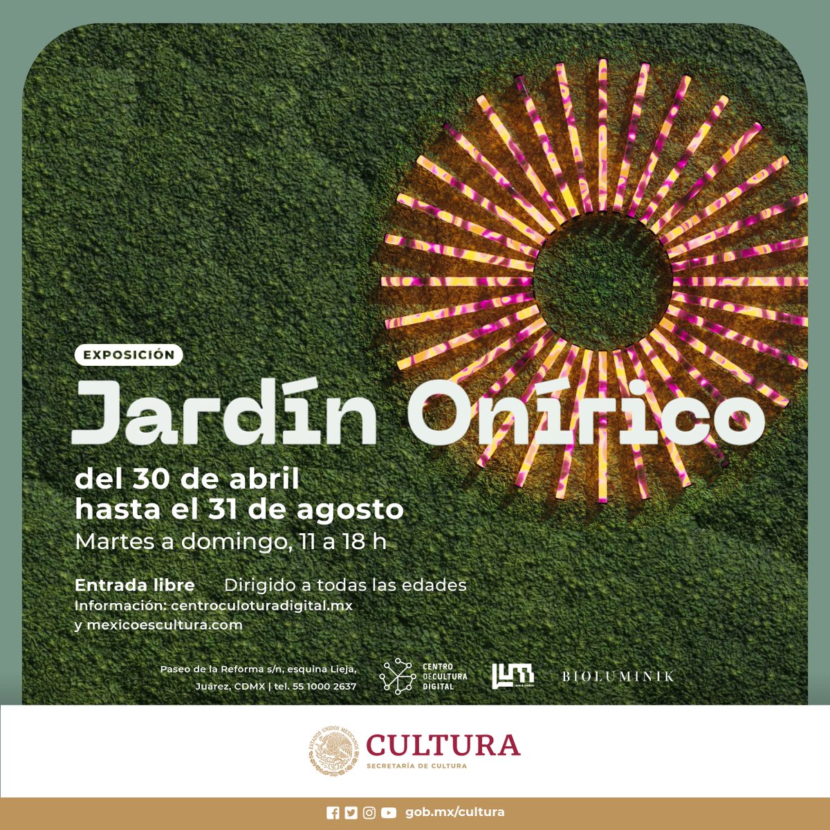 El CCD invita a la exposición “Jardín Onírico” revistabocetos.com/el-ccd-invita-… @alefrausto @CCDmx @cultura_mx
