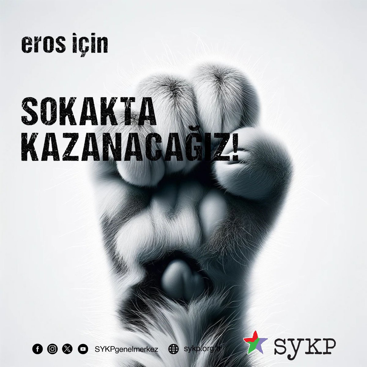 SYKPgenelmerkez's tweet photo. Eros için 1 Mayıs’ta alanlara!

Bütün canlıların en temel hakkı yaşam hakkıdır! İnsana, hayvana, ağaca, ekolojiye düşman iktidara karşı #SokaktaKazanacağız https://t.co/Hoswdz2NyO