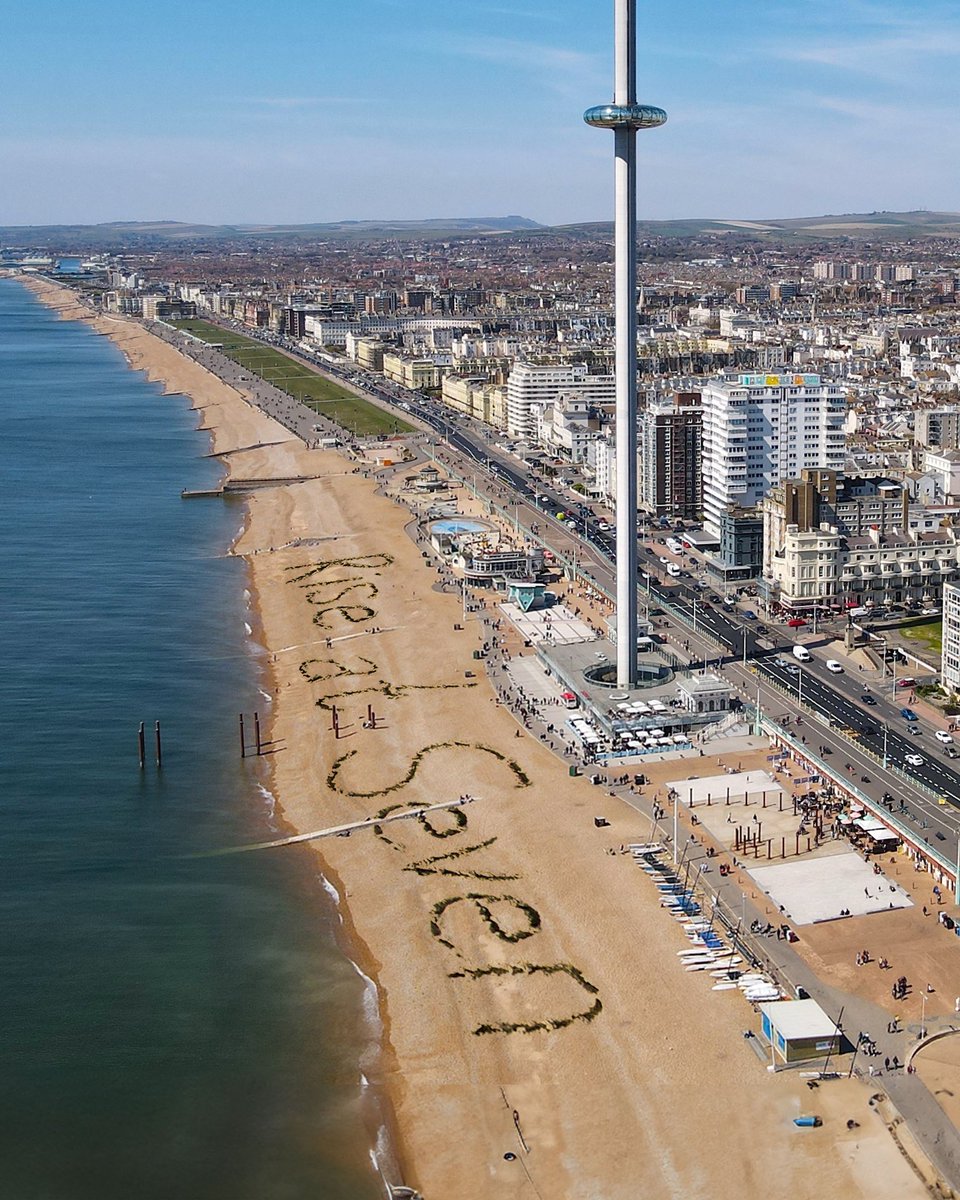 We’ve landed at #BrightonSEO and if you go up the i360, you’ll get a stunning view 👀😍

Seaweed came in use @brightonseo