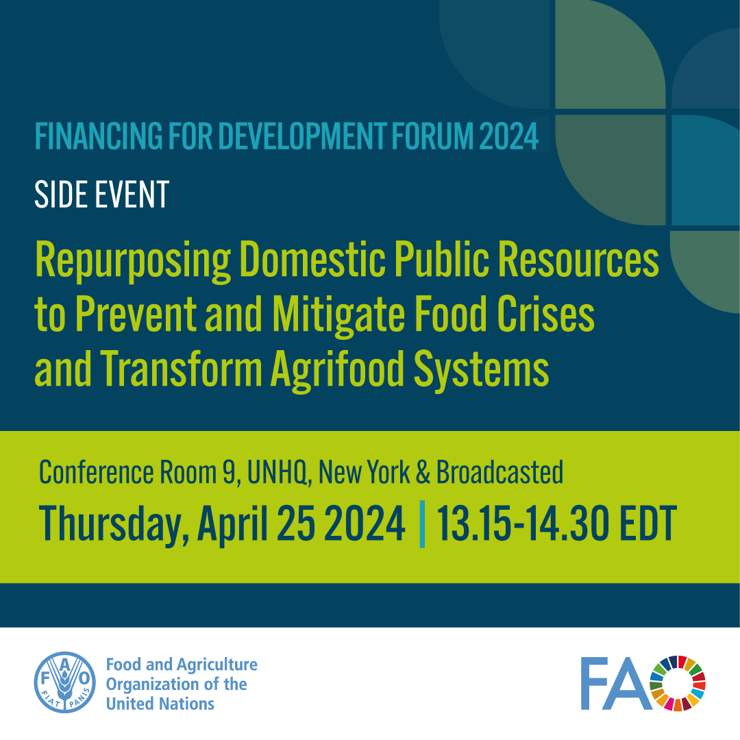 📢Happening Tomorrow! Join us for the #FfDForum side-event organized by @FAO. 📍 #UNHQ Conference Rm 9 📅 Thursday, April 25, 2024 🕑 13:15-14:30 EDT 💻 Follow live 👉 bit.ly/3xSPhBd