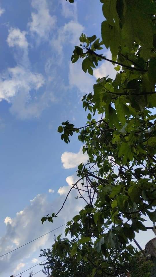 Lawnha0's tweet photo. بعض الصور من تصوير صديقتنا نيره واحده من متابعين الحملة 🥰💚

- تصويرك جميل يا نيره ماشاء الله مبسوطين أوي بمشاركتك معانا وإن شاء الله متكنش اخر مشاركة 🥰💚

#بالأخضر_نحليها https://t.co/BjHwqPxJSH