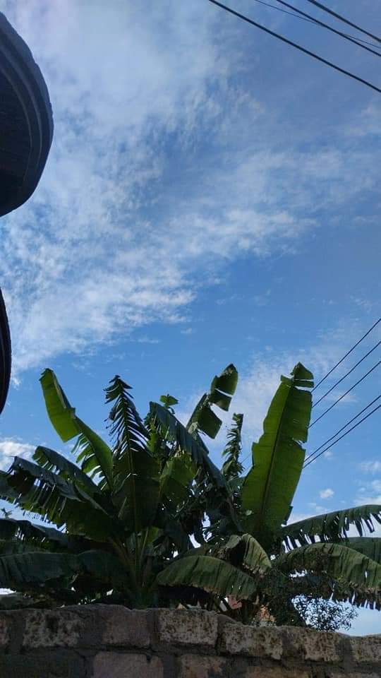 Lawnha0's tweet photo. بعض الصور من تصوير صديقتنا نيره واحده من متابعين الحملة 🥰💚

- تصويرك جميل يا نيره ماشاء الله مبسوطين أوي بمشاركتك معانا وإن شاء الله متكنش اخر مشاركة 🥰💚

#بالأخضر_نحليها https://t.co/BjHwqPxJSH