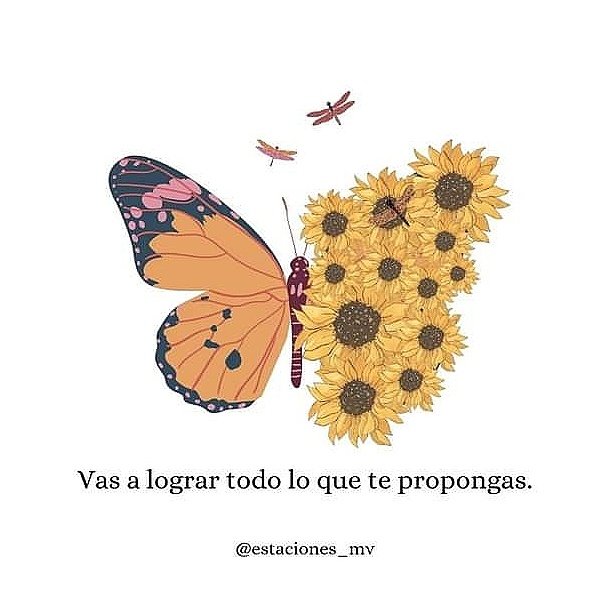 AbrilPaezNazar's tweet photo. 24/04/24 🦋🌻💛 https://t.co/7MyuGr5Dsz