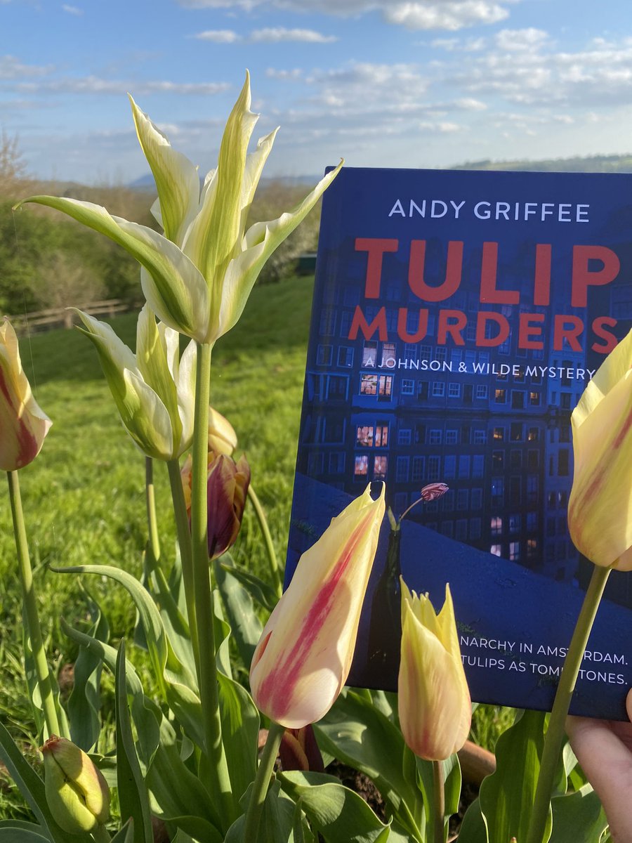 What a nice day. A lovely review of #TulipMurders (“The story is an intriguing mix of murder, art, history and politics” - @adam1uk) and a great interview on @bbchw with @toniearlybird Anarchy in #Amsterdam, Tulips as Tombstones 🌷🌷😱 - available from Amazon