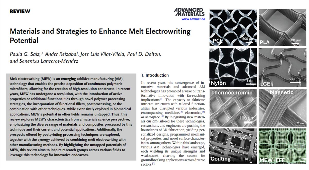 Our 𝗿𝗲𝘃𝗶𝗲𝘄 'Materials and Strategies to Enhance Melt Electrowriting Potential' is out in Advanced Materials! 👀shorturl.at/ekDN7 A must-read for MEW researchers and curious minds!💡 @meltelectrospin @UOKnightCampus @labquimac @AnderReizabal @BCMaterials @WileyGlobal