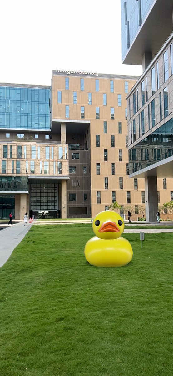 Touching grass with @MorganStanley 

@epikduckcoin

$EPIK #ducksout @rektmando