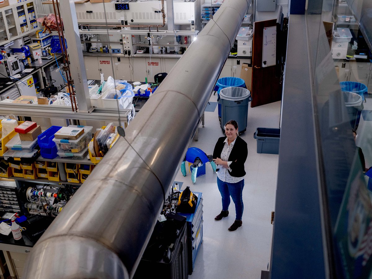 We're thrilled to announce that Rebecca Kramer-Bottiglio is this year's recipient of the @NSF Alan T. Waterman Award. This makes her the first Yale researcher to be honored with the nation's highest accolade for an early-career scientist or engineer: loom.ly/n_OIZI8