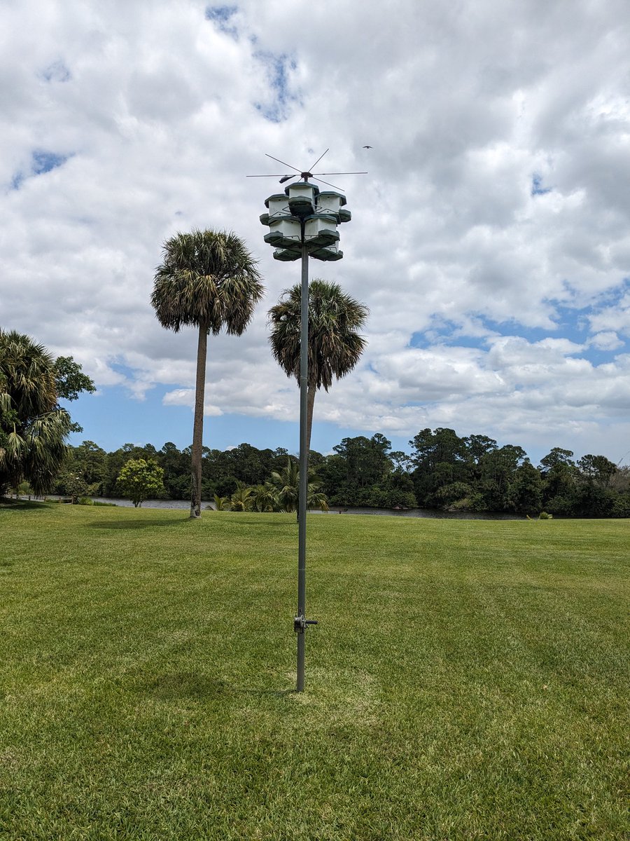 Not just a bird house, a whole bird apartment complex