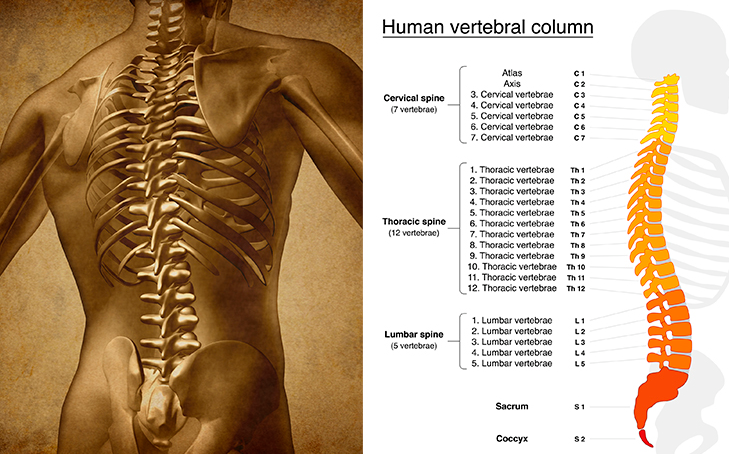 Defragmentation of the Spine gives you control over every single vertebra.

Free your Neck & Back from Pain with this 6 Mobility exercises.

You want to bookmark this. 📗