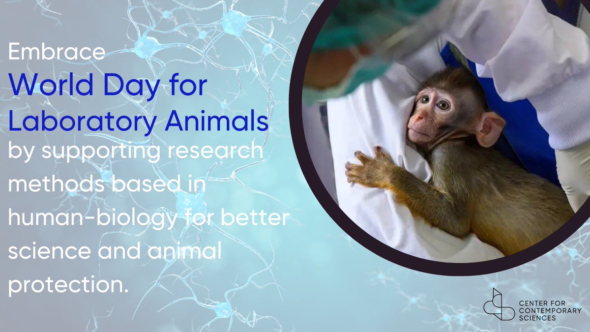 CCS is protecting #animals used in research by catalyzing the world's transition to #humanrelevant medical research. 

Support Our Mission: contemporarysciences.org/donate/

#animaltesting #animalexperimentation #animalfreeresearch #biotechnology #publichealth #humanhealth #science