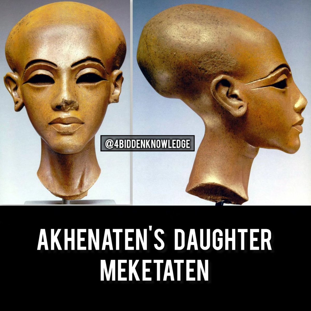 Pharoah Ankenaten his wife Nefertiti, and 2 of their six daughters all have enormous elongated skulls that were not a result of skull binding. They had more cranial capacity than a normal human. See these in person on the 4bidden Tour Of Egypt: 4biddenknowledge.com/4bidden-egypt-…