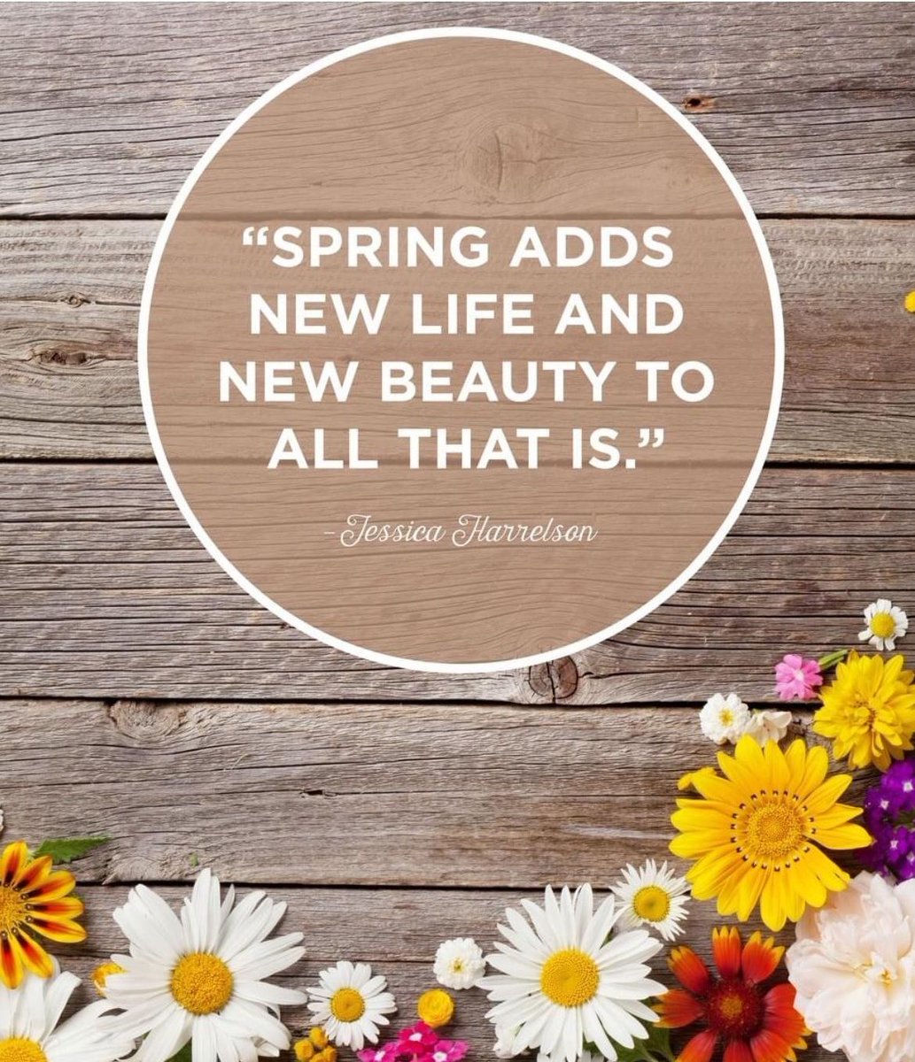 AmoroseHomes's tweet photo. "Spring Adds New Life &amp; Beauty to all that is." - Jessica Harrelson
https://t.co/tVkO3cHZRl https://t.co/KmjDwBcPiS