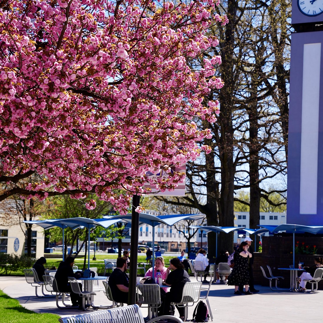 KeanUniversity tweet picture