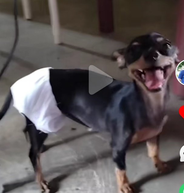 Central da Estônia 🇪🇪 tweet media