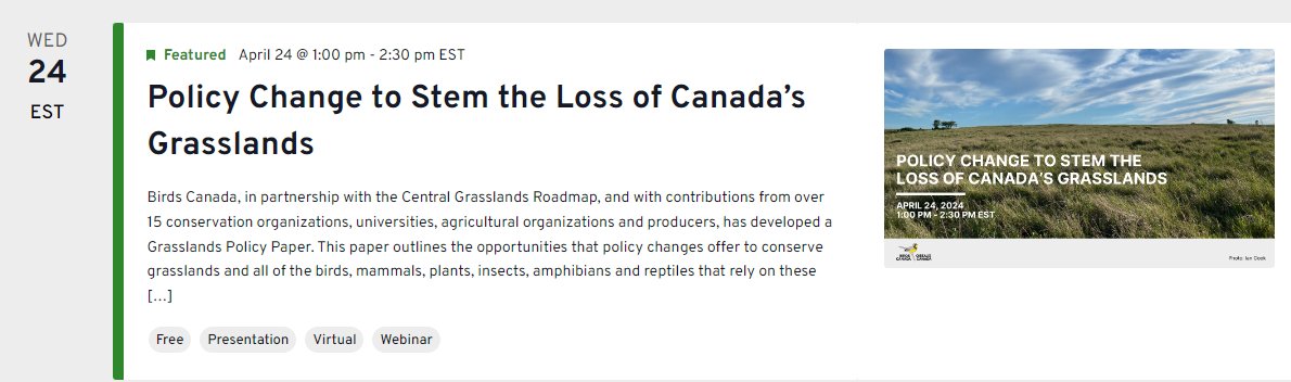 Sitting in on my colleague's mega-webinar: Birds Canada / Central Grassland Roadmap 'Policy Change to Stem the Loss of Canada's Grasslands.' What a fantastic turnout for an incredibly important topic. birdscanada.org/bird-science/g… birdscanada.org/event/policy-c… #habitat #birds #grasslands