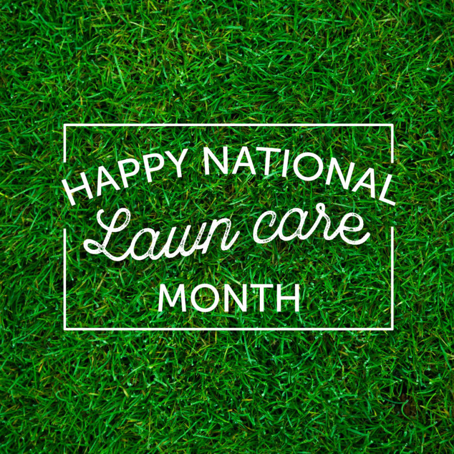 National Lawn and Garden Month is celebrated each year in April. For many of us, we need no reminder that spring means lawn care and planting time, but the month also provides an opportunity for DIY'ers to come see us for some lawn care tips. Stop in today.