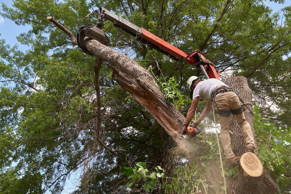 The 10 most dangerous jobs in America. | NW Labor Press buff.ly/4cZaKbz