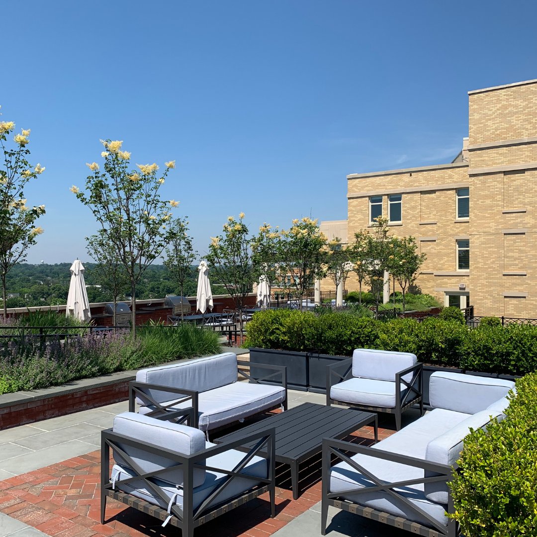 Spring is in the air at The Waycroft! 🌸 Embrace the warm weather in our lush outdoor spaces. Perfect for picnics, reading, or just soaking up the sun! ☀️ #TheWaycroft #ArlingtonVA #SpringTime