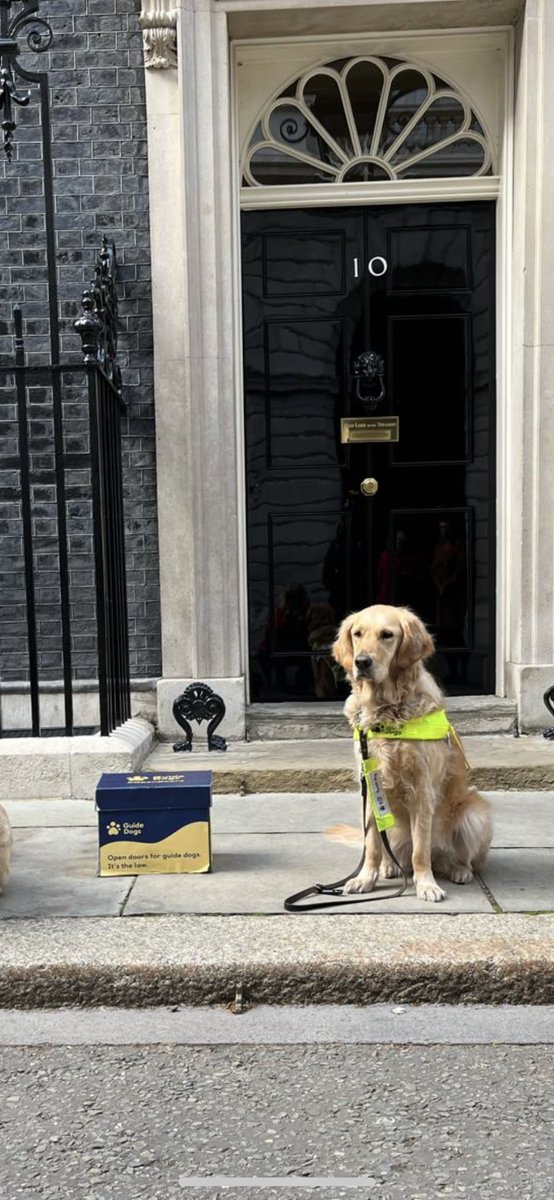 I’m here to announce for International Guide Dog Day I’m running for office & plan to unseat @Number10cat 😆 My first act as PawMinister would be to end access refusals for all assistance dogs! Today I helped hand in a petition on this very issue 🦮⬇️ guidedogs.org.uk/how-you-can-he…