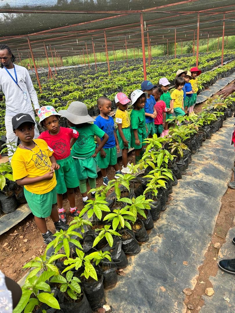 Involving and making the young generation love agriculture is a great way to ensure that the agriculture future is secured! Next billionaires are farmers.!!