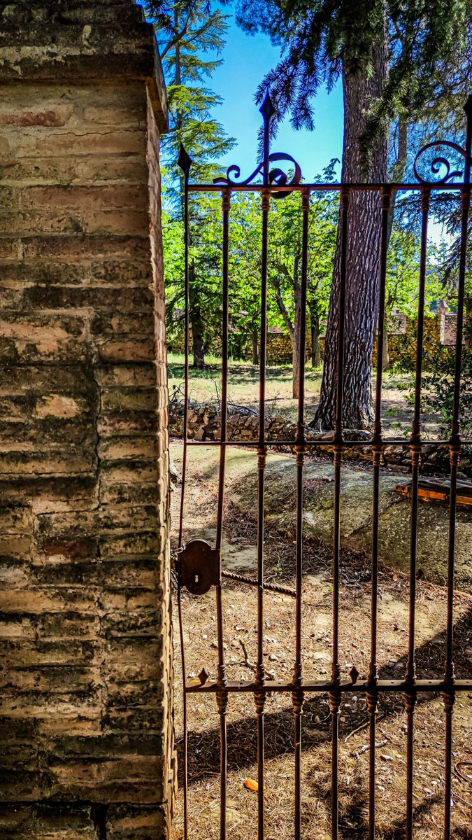 A aquesta, petita i concisa, etapa de la meva vida l'anomeno "calma" i la veritat és que ha costat moltíssima guerra amb mi mateix. Però sempre hi ha un pas endavant més.