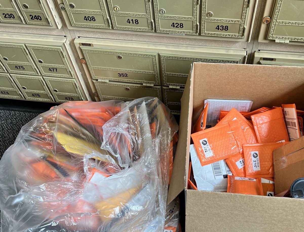 It's like Christmas here at ARISA Lab! We are still counting the Data Collector SD cards that are arriving by mail. When we receive them all, we will create a table where you can double-check that your data has been received. #Eclipse2024 #CitizenScience #DataAnalysis