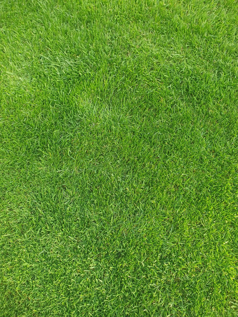 PhilColl_ICL's tweet image. Solid start to the &apos;24 lawn season! 💪#ProTurf #TriSmart