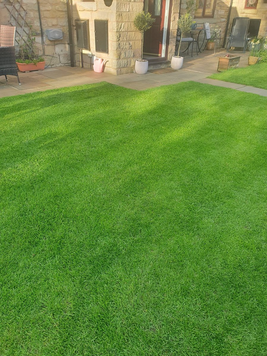 PhilColl_ICL's tweet image. Solid start to the &apos;24 lawn season! 💪#ProTurf #TriSmart