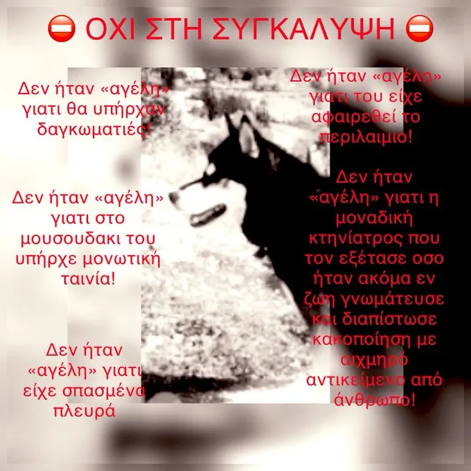 #CancelArachova #Oliver #ARACHOVA #ΑΡΑΧΩΒΑ #Ολιβερ #JusticeForOliver #Greece #AnimalCruelty