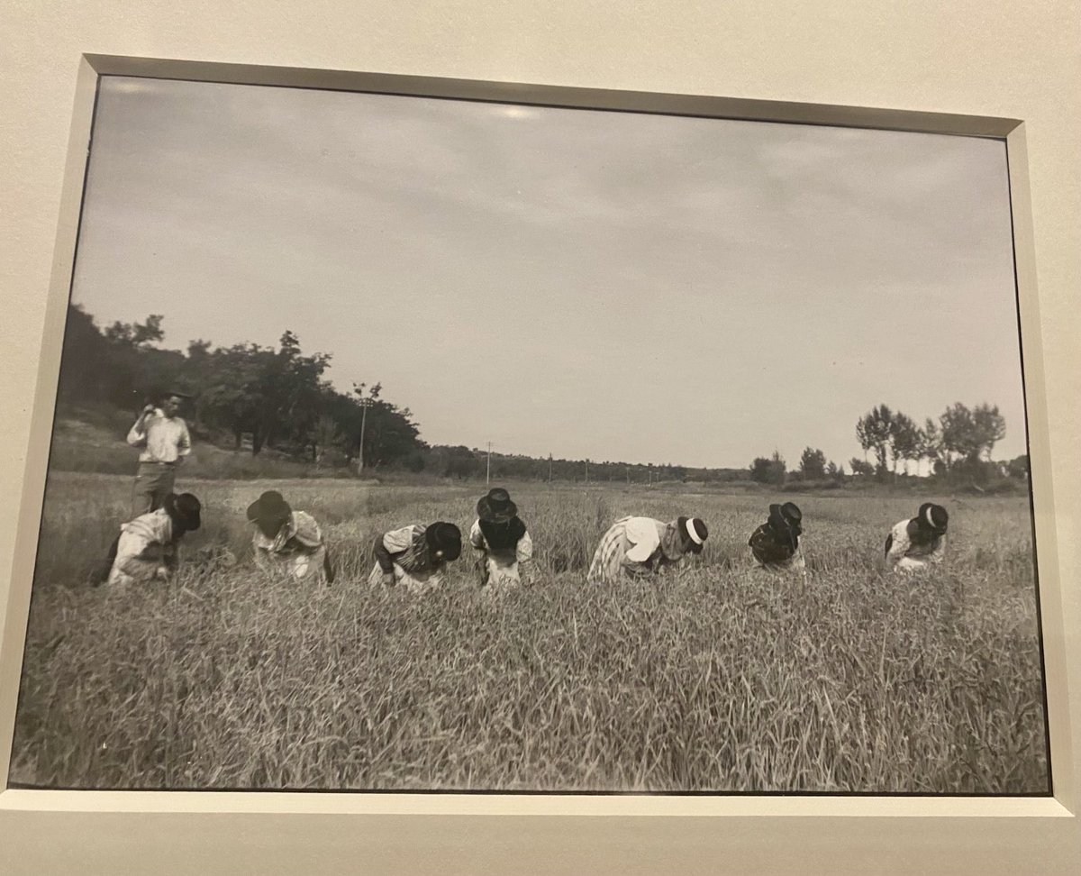 Extraordinary pictures of Portuguese women working (and doing heavy work) taken by Maria Lamas in the Portugal of the 1950s. Not to be missed at ⁦@FCGulbenkian⁩ in Lisbon.