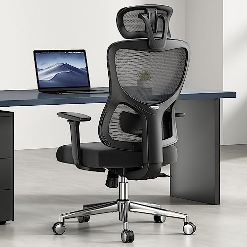 WOWIE, Soohow Ergonomic Mesh Office Chair, Computer Desk Chair Ergonomic, High Back Office Chair with Headrest, Adjustable Lumbar Support and 3D Armrests. - Black got funded on Throne. That's nuts. throne.com/witchtaunter #Throne