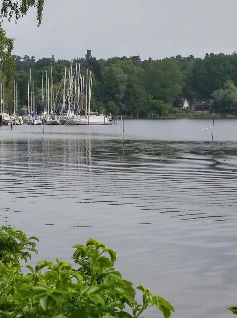 Angelika tweet media