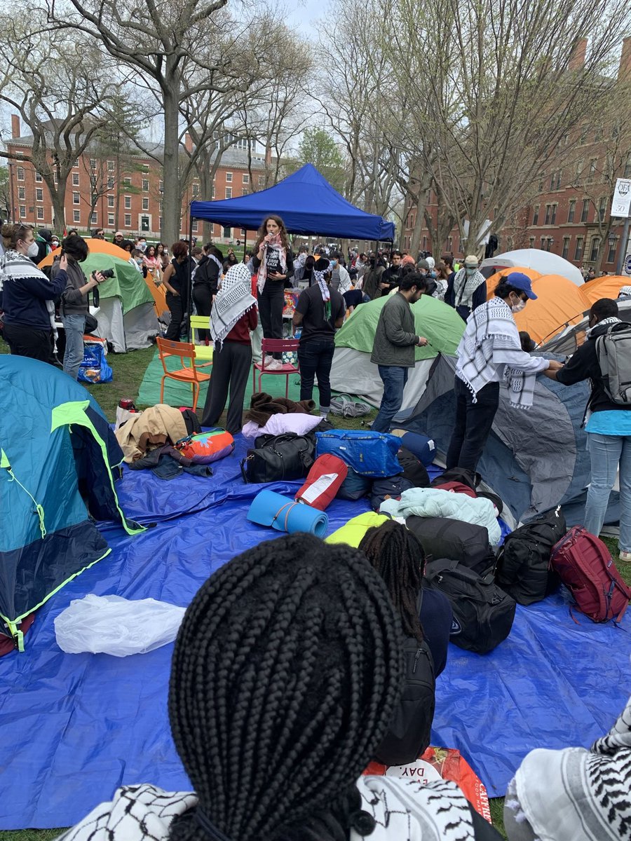 HAPPENING NOW‼️ The tents are up at Harvard. Show up to support the student encampment at Harvard in solidarity with Palestine!🇵🇸🇵🇸🇵🇸 Liberation by any means.