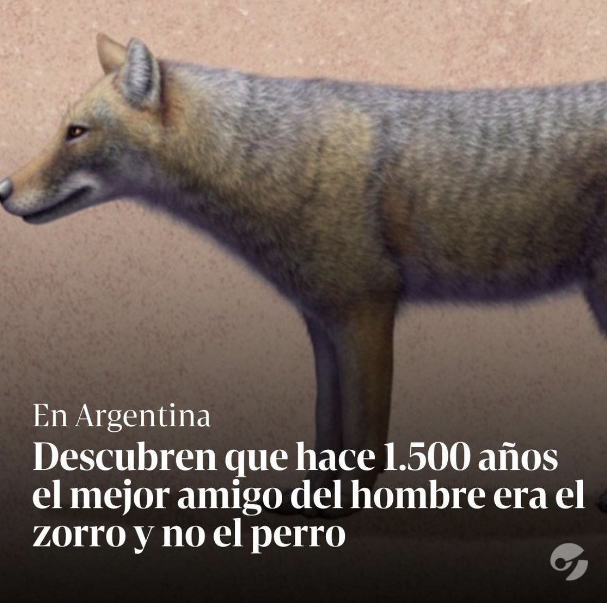 CarlosMaslaton's tweet photo. No existe el animal-zorro, esto es una pelotudez. El animal-perro es el mejor amigo del hombre desde hace 12000 años. Ahora quieren poner de moda al animal-zorro y desde ya les anticipo: van a fracasar. https://t.co/Ouis8EXmGa