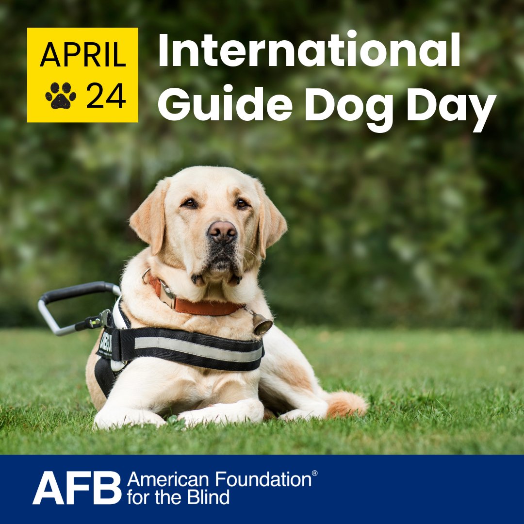 Happy #InternationalGuideDogDay! Today we celebrate the loyal companions who help people who are blind or have low vision navigate the world with confidence and independence.