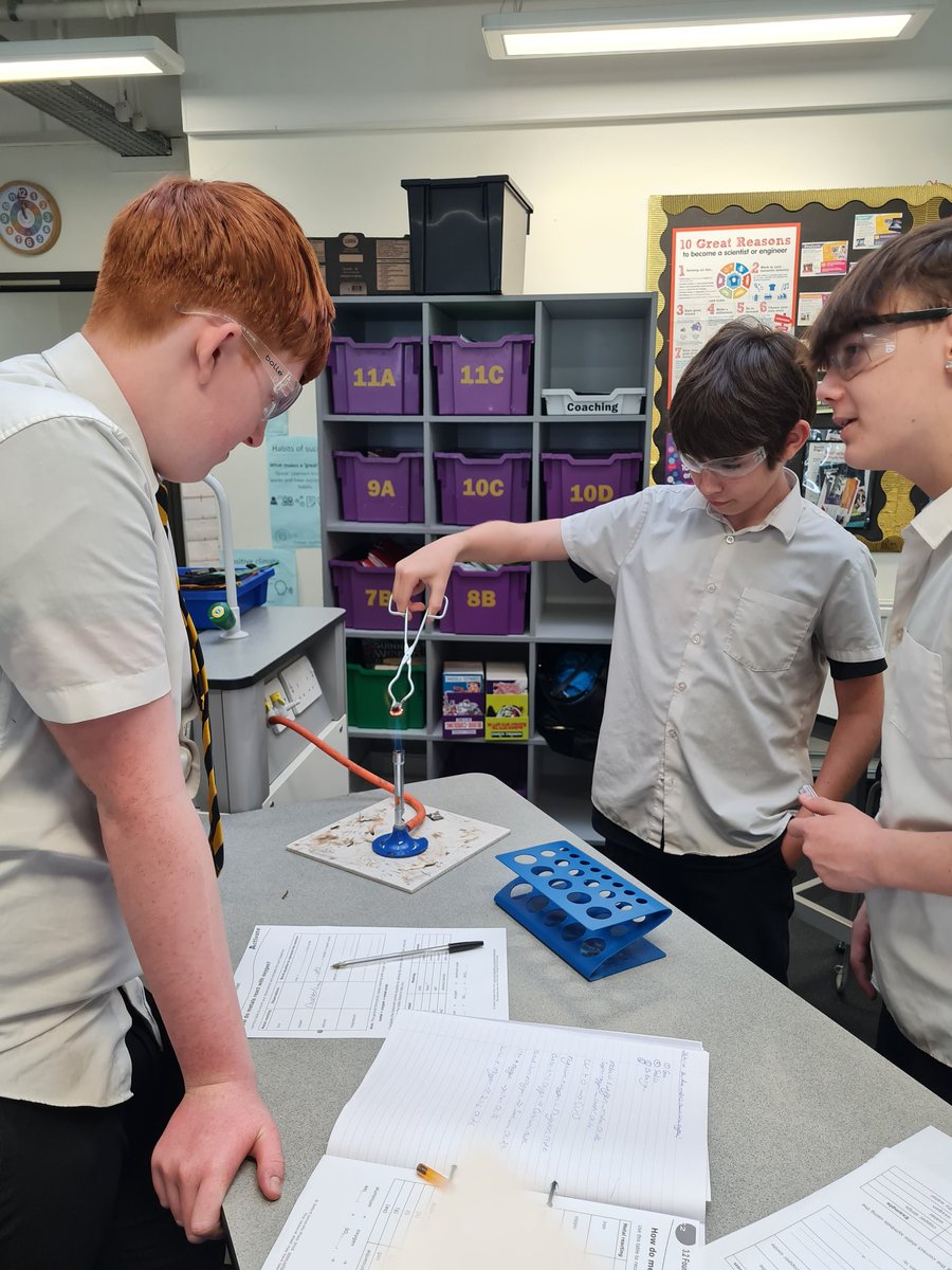 Aureus School Science Department tweet media