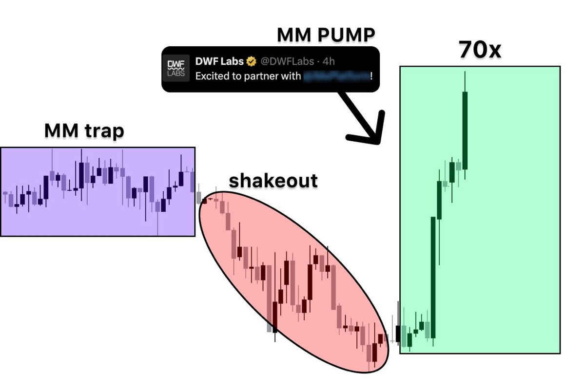I made over 130,000 last month by following MMs! It took me weeks to learn how they pump and