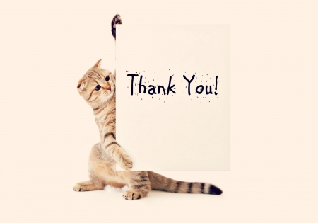 Thanks @spliffpay  @startupbuffer  @FNI_INC  @KurrantI for the likes. Appreciate it. :-)