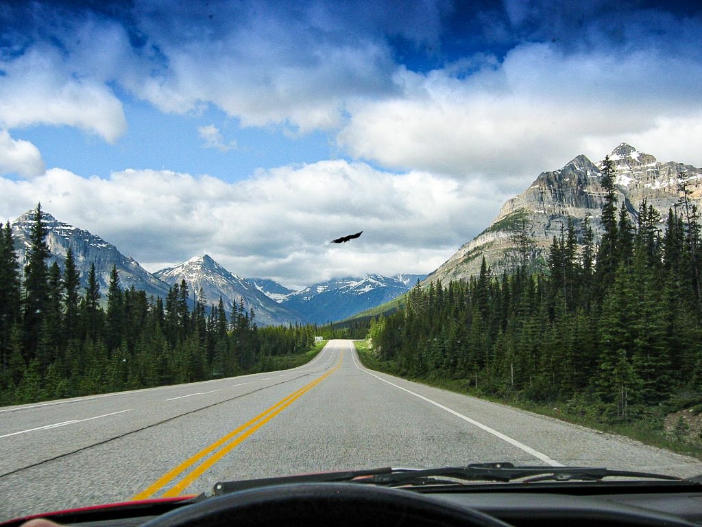 Wherever shall we go?
#roadtrip