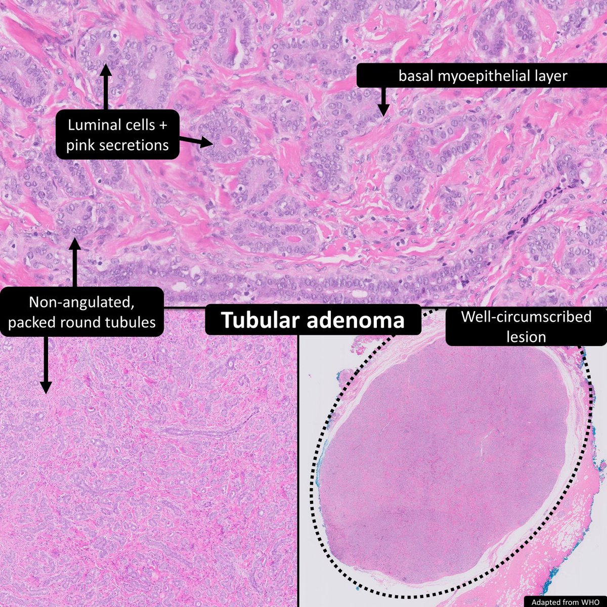 DrCycloPath tweet picture